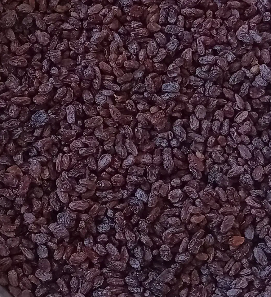 کشمش افتاب خشک|خوردنی و آشامیدنی|قم, پردیسان|دیوار