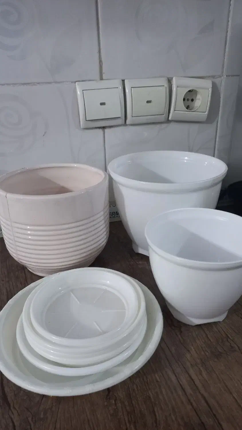 گل دان|گل و گیاه طبیعی|سمنان, |دیوار