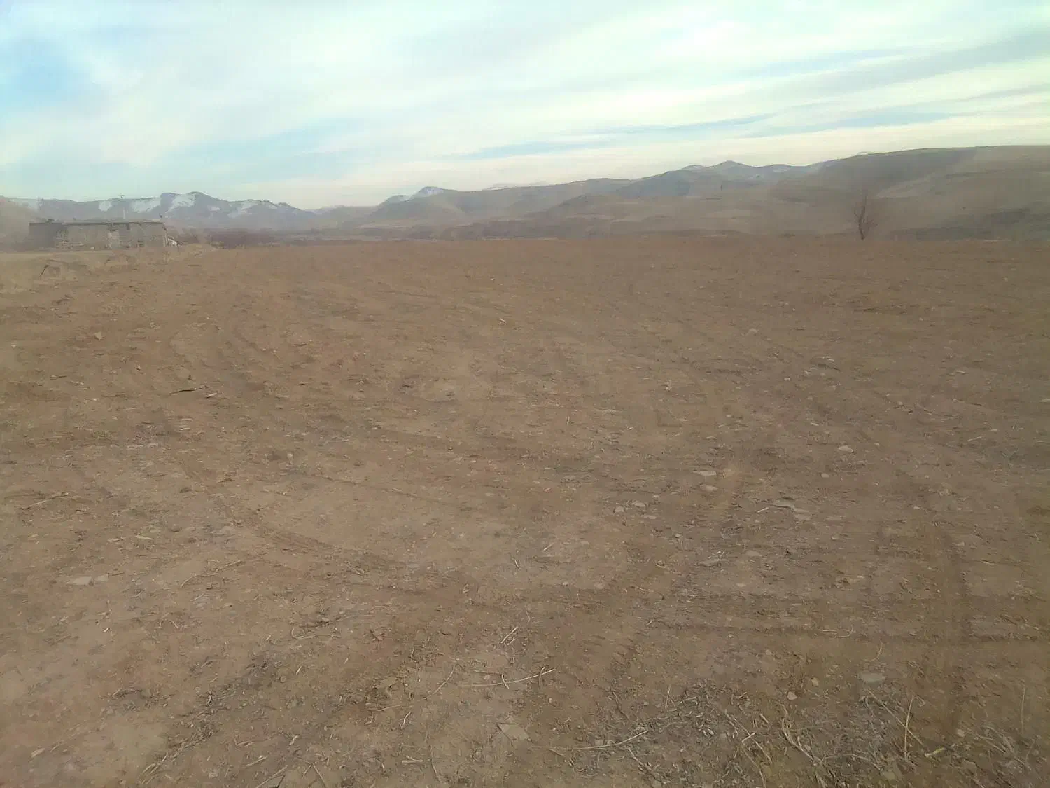 اجاره زمین کشاورزی دیم 5 هکتار کمباین گیر|اجارهٔ دفتر صنعتی، کشاورزی، تجاری|شاهین دژ, |دیوار