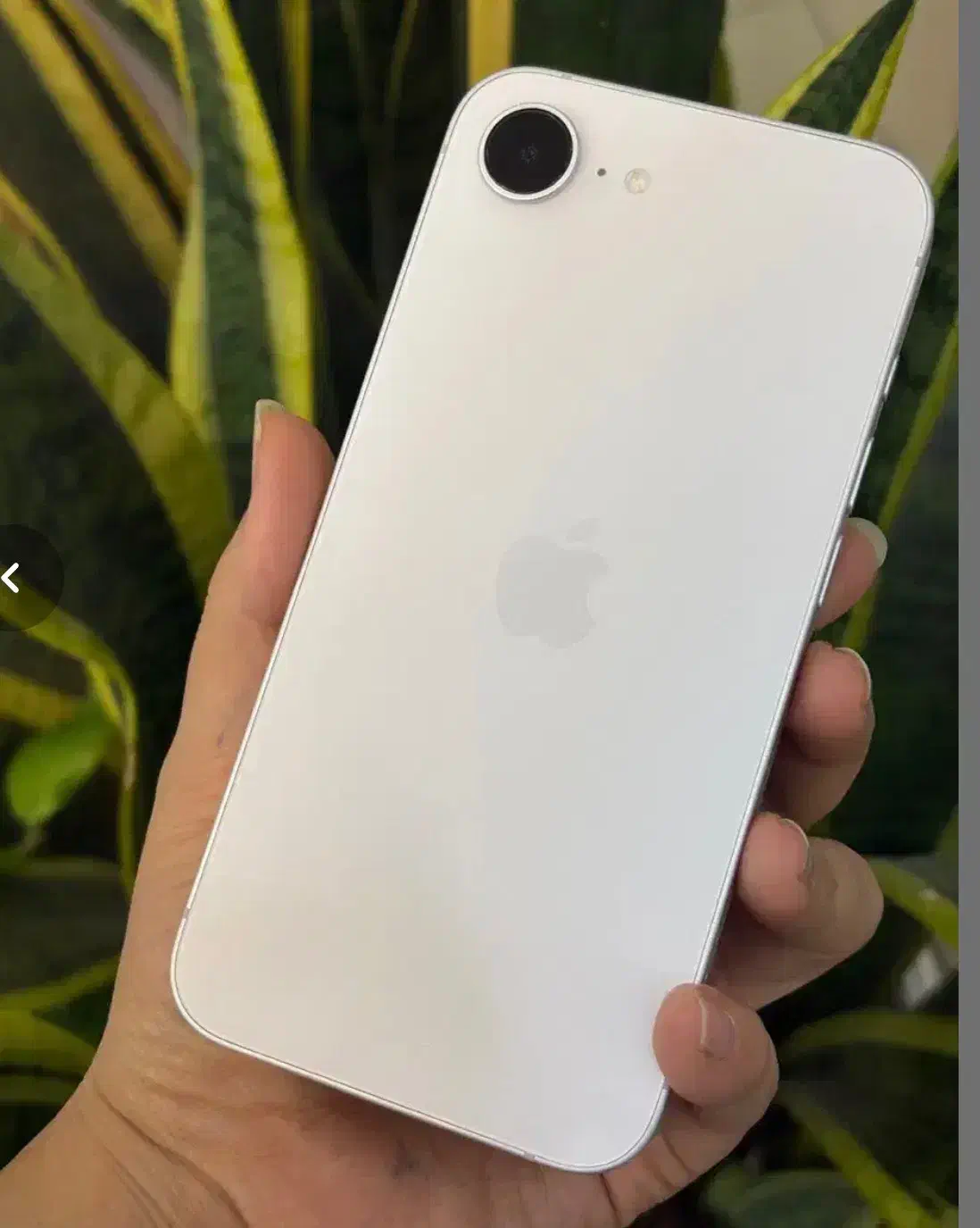 ایفون 16|موبایل|بجنورد, |دیوار