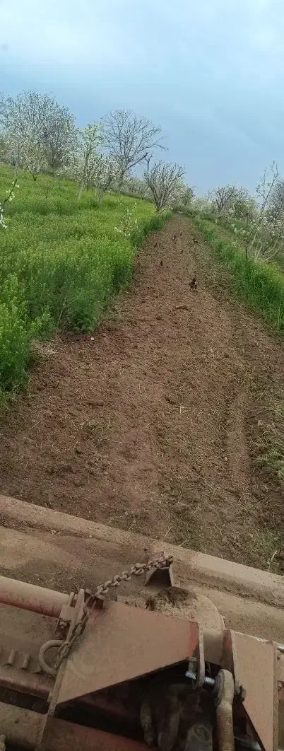 کاربا تراکتور باغی|خدمات باغبانی و درختکاری|قزوین, |دیوار