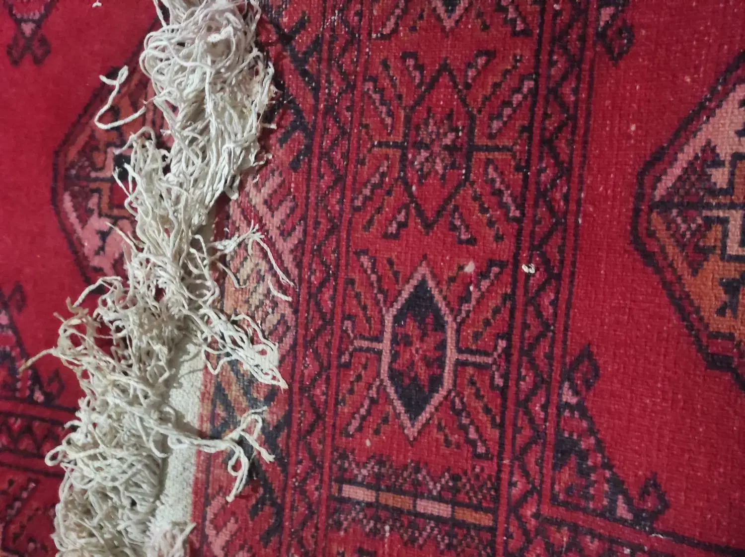 فرش دستی ترکمن|فرش|رشت, حمیدیان|دیوار