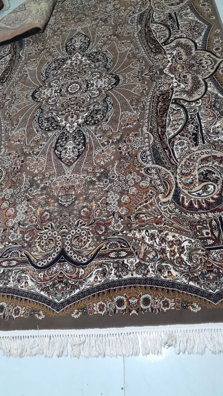 فرش شش متری ۴ تخته گردویی شاهپسند ۷۰۰شانه|فرش|سنندج, |دیوار