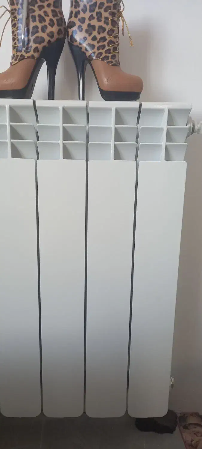 پکیج پرلا پرو ۳۲۰۰۰ بوتان + ۳۰۰پره رادیاتور|آبگرمکن، پکیج، شوفاژ|بروجرد, |دیوار