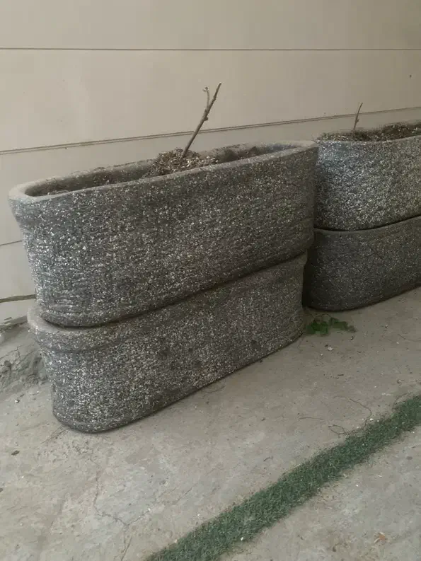 گلدون سفالی بزرگ|گل و گیاه طبیعی|تربت جام, جامی|دیوار