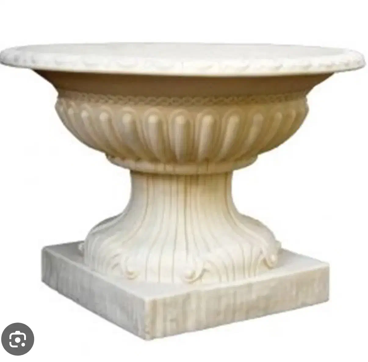 گلدان ویلایی|گل و گیاه طبیعی|قم, شاه ابراهیم|دیوار