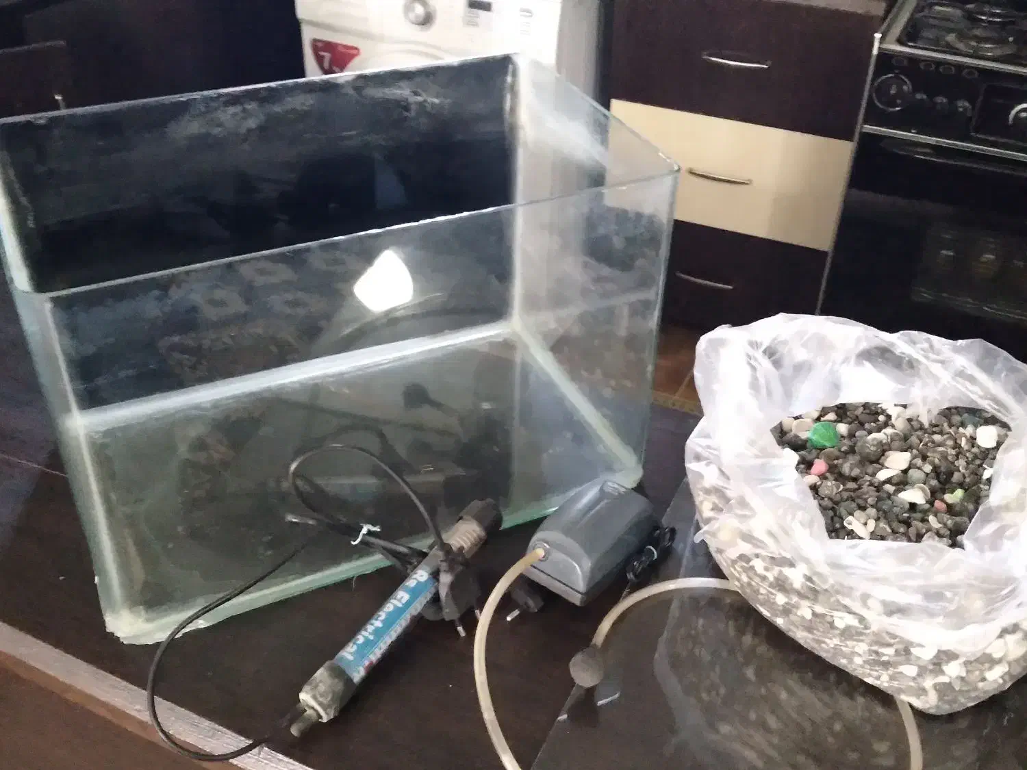 اکواریم|ماهی|شیراز, جوادیه|دیوار