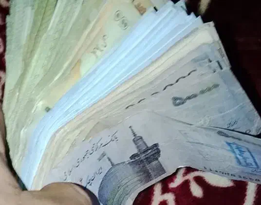 سرمایه فوری|خدمات مالی، حسابداری، بیمه|پادنا علیا, |دیوار