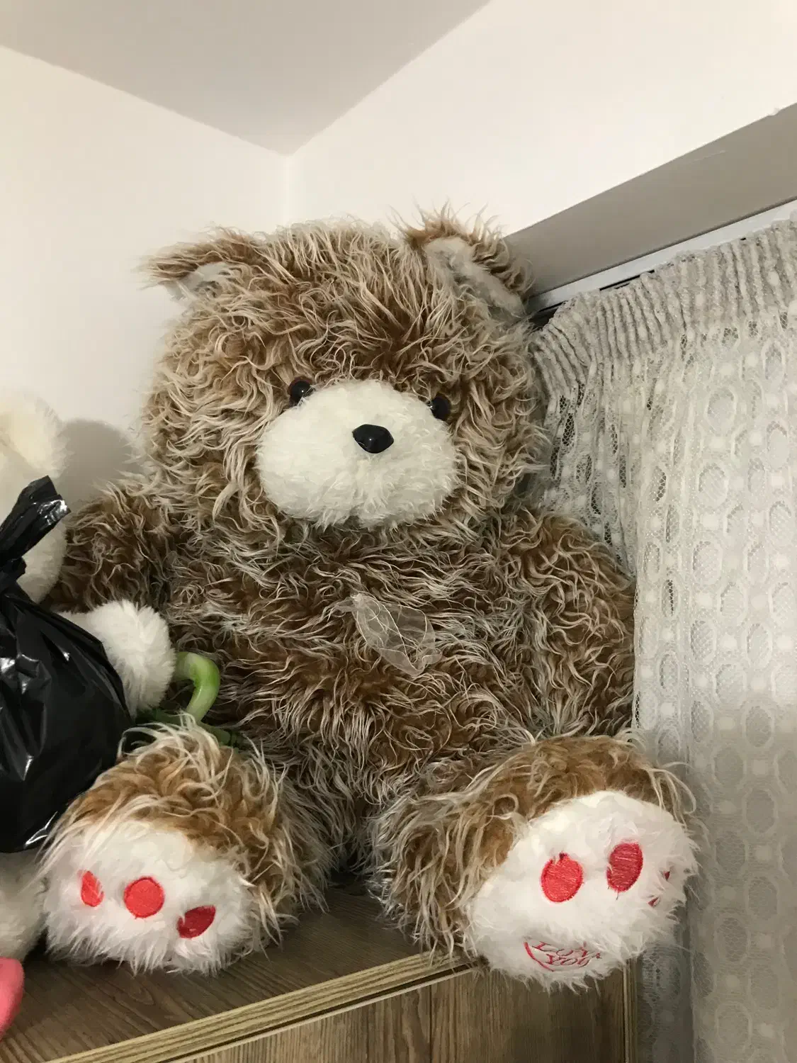 تعدادی عروسک ولنتاین|اسباببازی|سهند, |دیوار