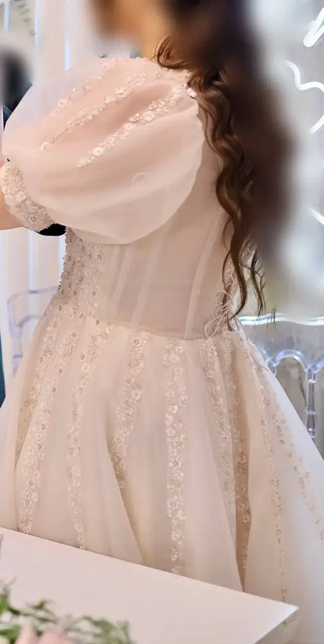 لباس نامزدی|لباس|پردیس, فاز ۲|دیوار