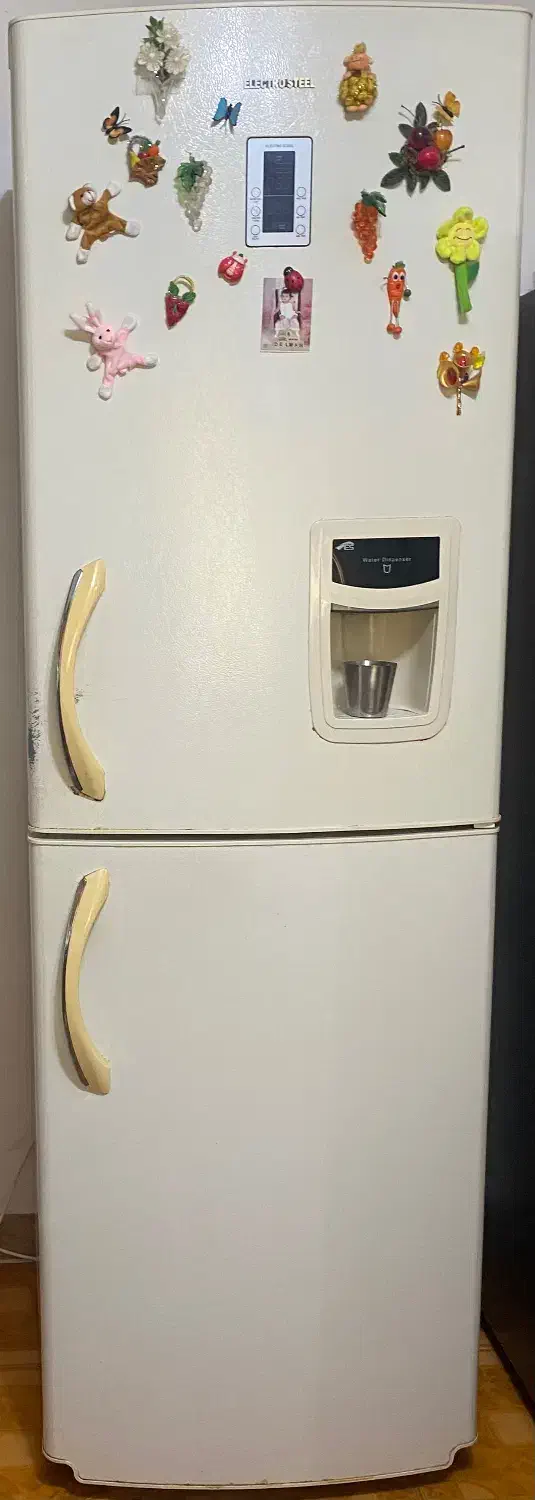 یخچال و فریزر الکترواستیل|یخچال و فریزر|خشکبیجار, |دیوار