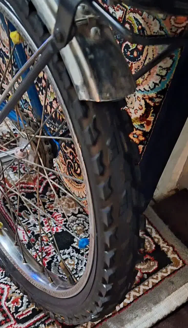 ۲عدد دوچرخه ۲۰ و۱عدد ۱۲|دوچرخه، اسکیت، اسکوتر|رباطکریم, شهرک والفجر|دیوار