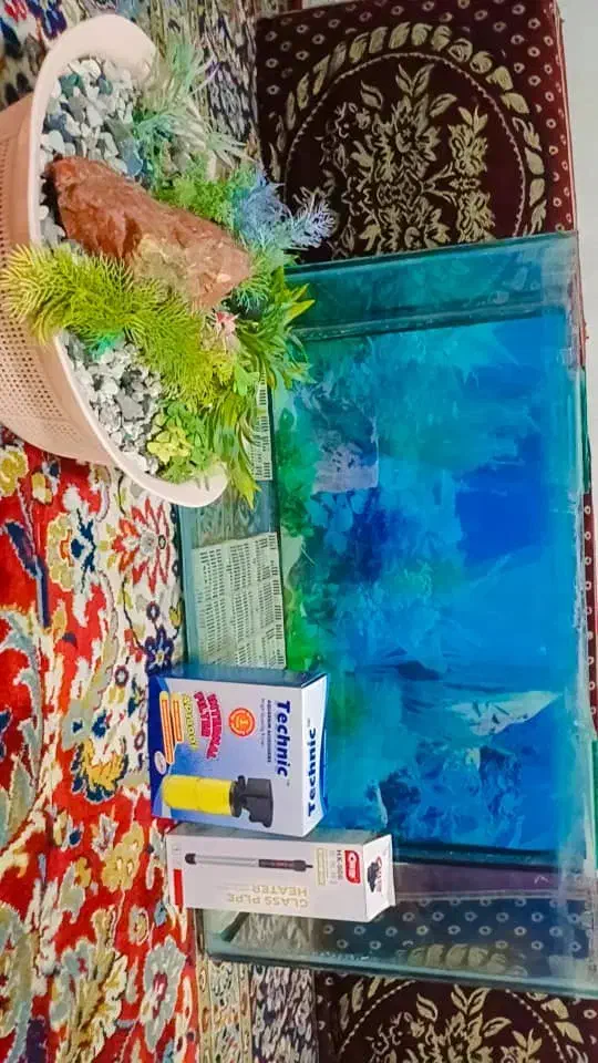 آکواریوم|ماهی|خرمشهر, |دیوار