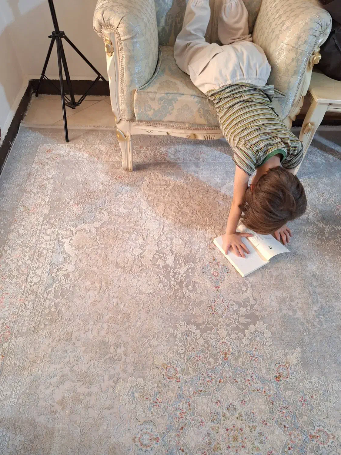 فرش نه متری و شش متری|فرش|پیشوا, |دیوار