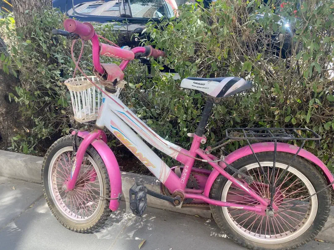 ورزش و سرگرمی|دوچرخه، اسکیت، اسکوتر|اراک, |دیوار