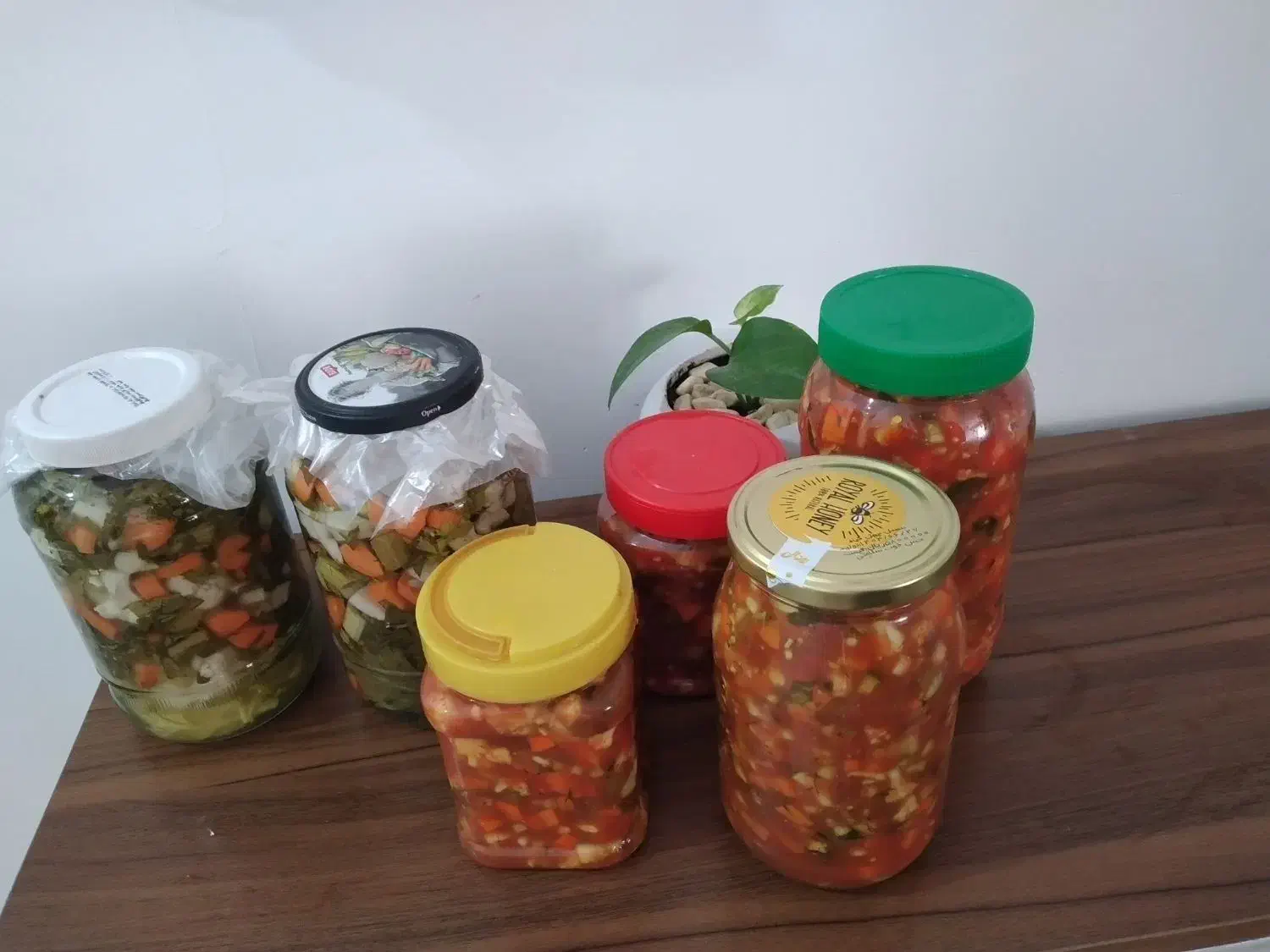 سالاد فصل و ترشی خانگی|خوردنی و آشامیدنی|پاکدشت, شهرک امام رضا|دیوار