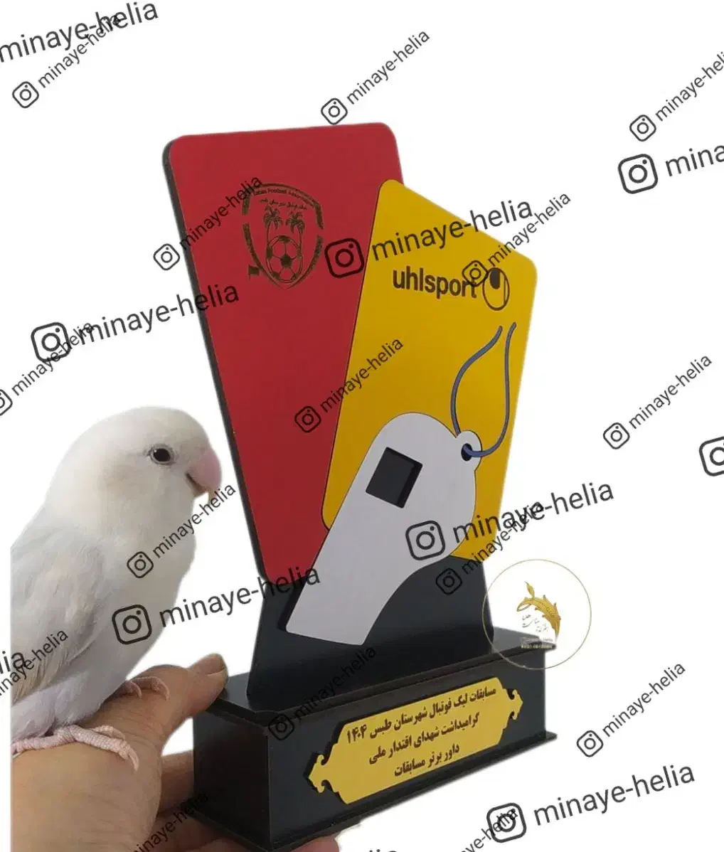 تندیس ورزشی فوتبال، والیبال، تنیس،کاراته، داوری|مجسمه، تندیس، ماکت|اصفهان, خانه اصفهان|دیوار