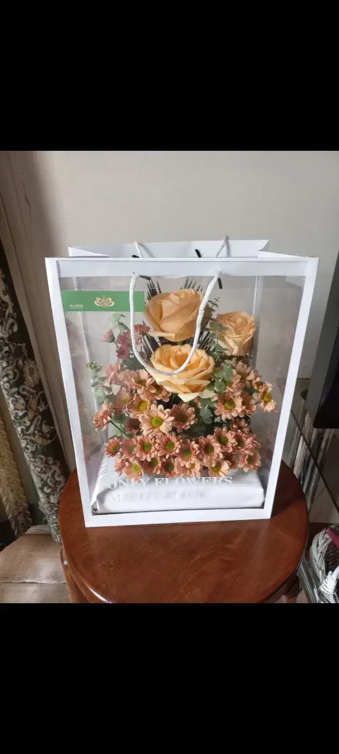 بنسای زاموفیلیا|گل و گیاه طبیعی|تهران, میرداماد|دیوار