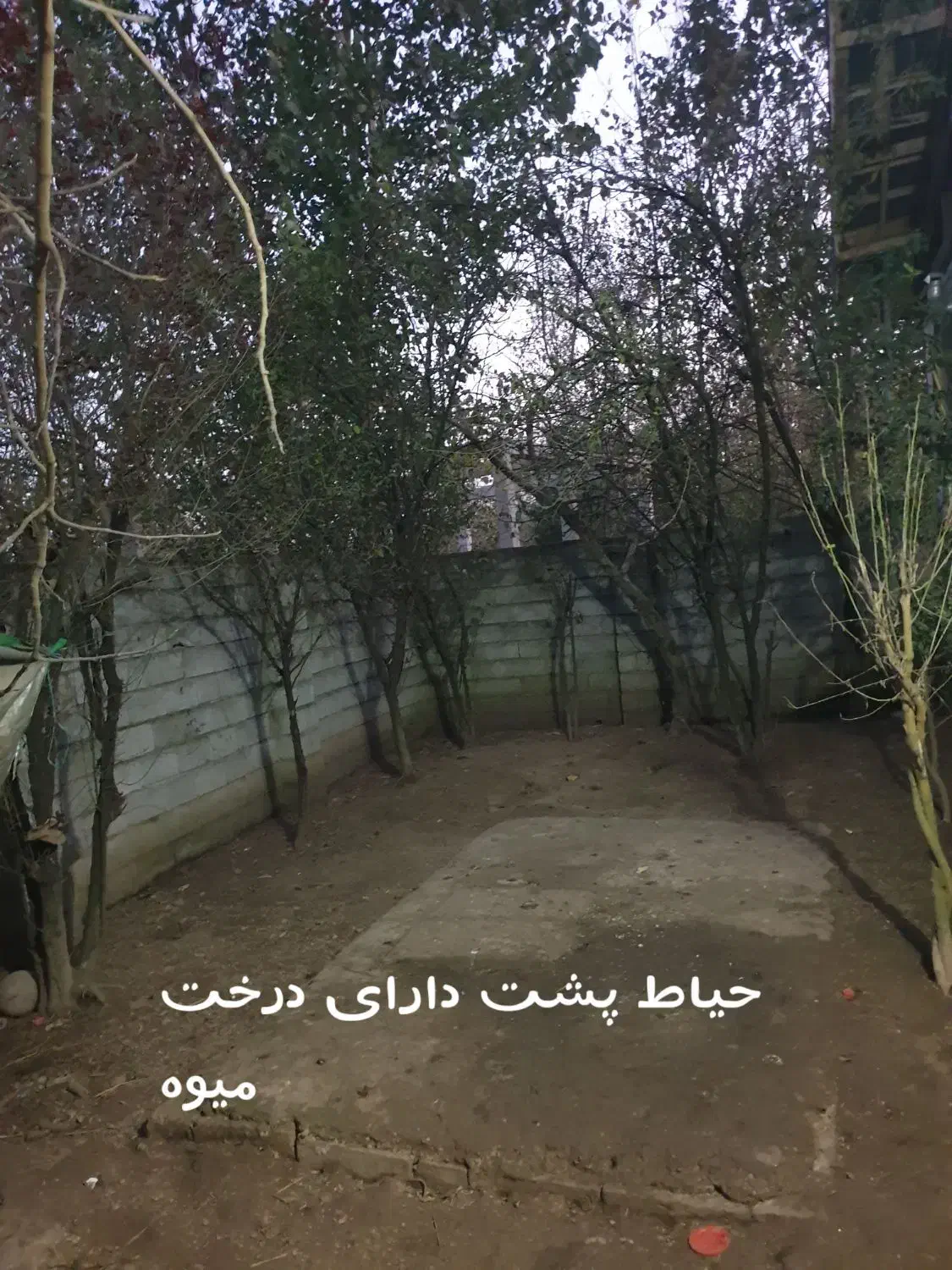 فروش ویلا|فروش خانه و ویلا|آستانه اشرفیه, |دیوار