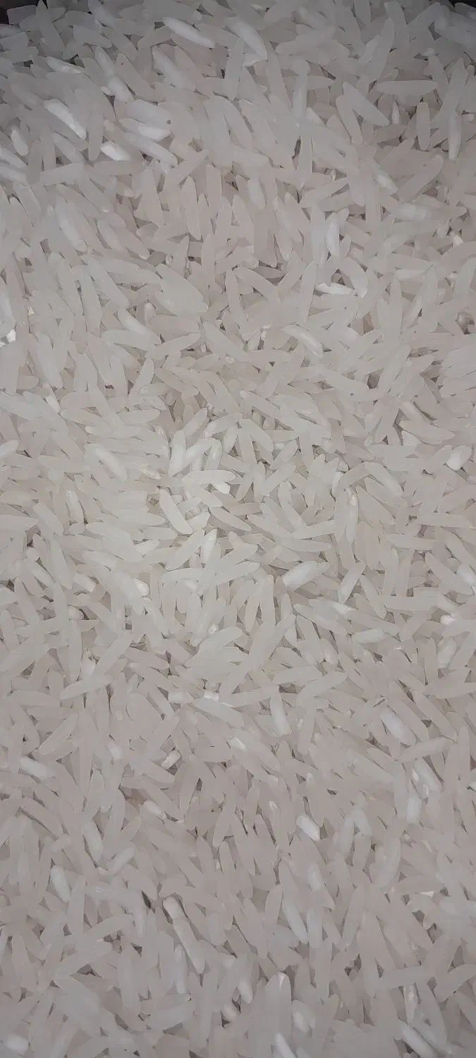 برنج فجر سوزنی|خوردنی و آشامیدنی|گرگان, |دیوار