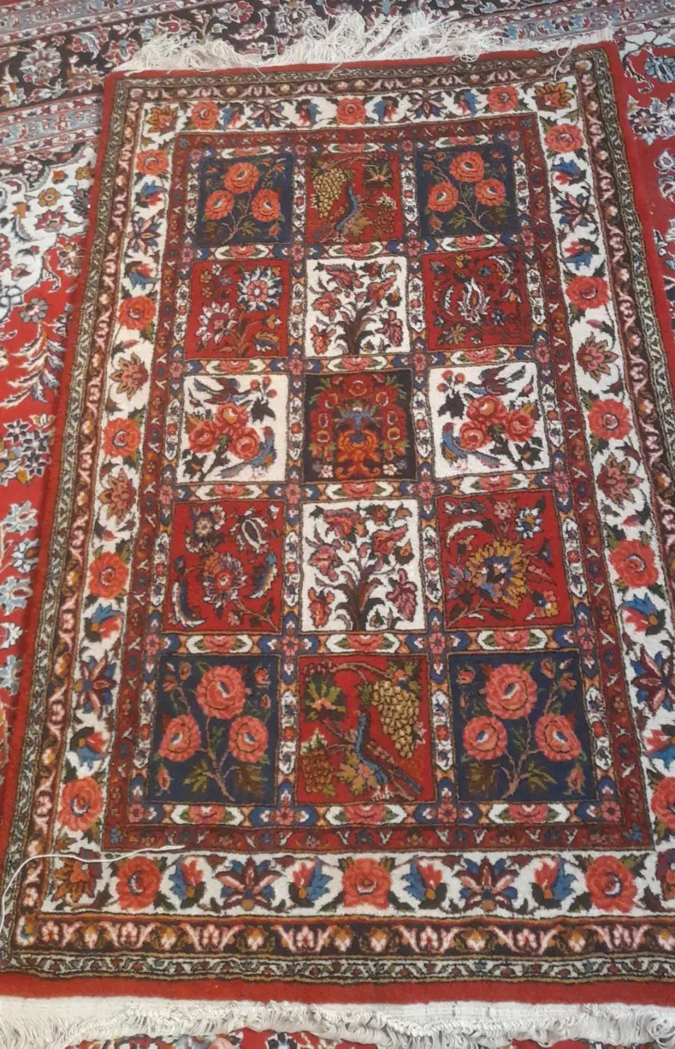 قالی دستبافت|فرش|فارسان, |دیوار