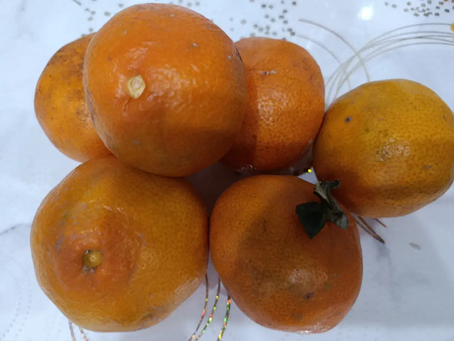 پرتقال کندن|خدمات باغبانی و درختکاری|بابلسر, |دیوار