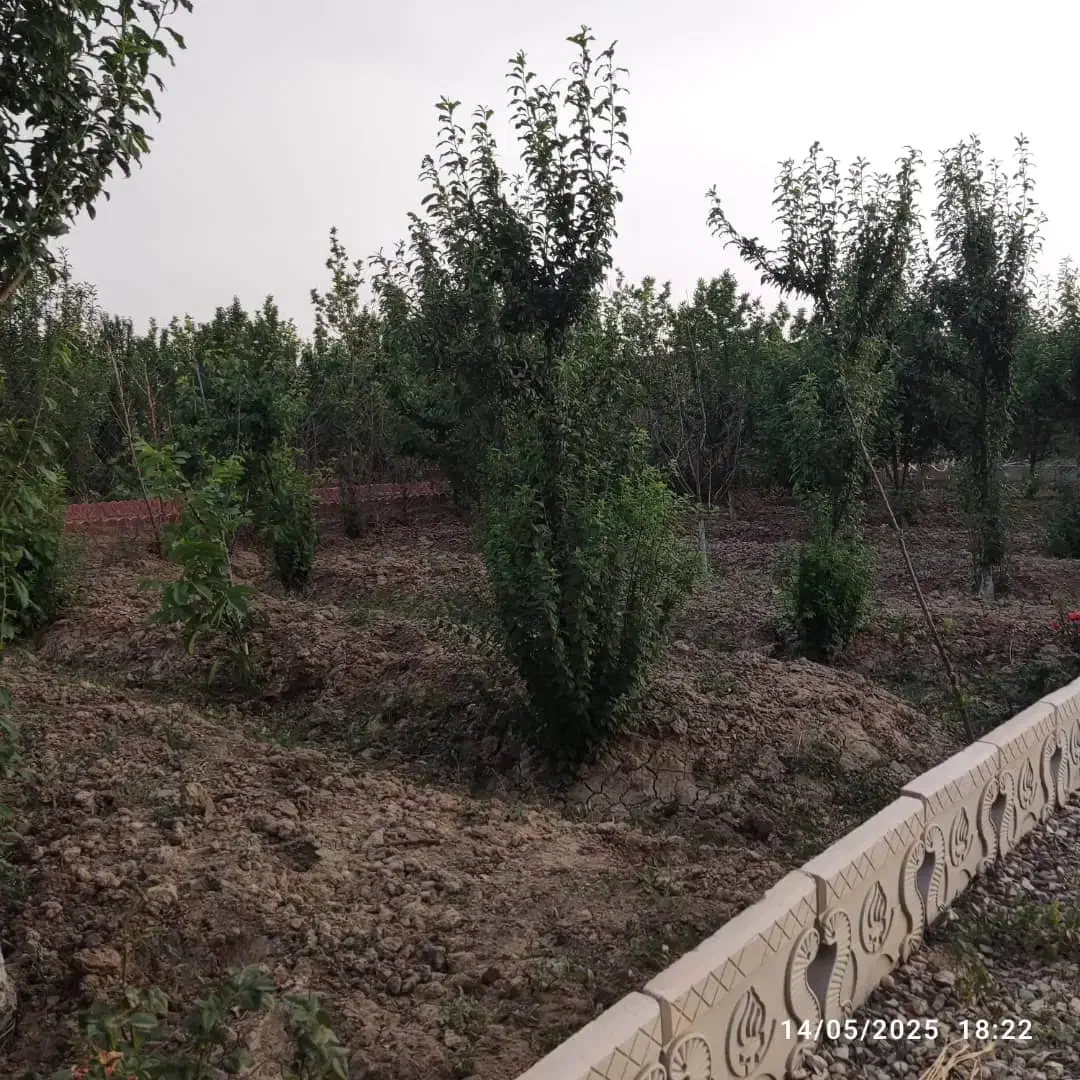۱۰۰متر بنا ۲۰ متر اتاق سرای داری  برای اجاره سوله|اجارهٔ دفتر صنعتی، کشاورزی، تجاری|چهاردانگه (تهران), |دیوار