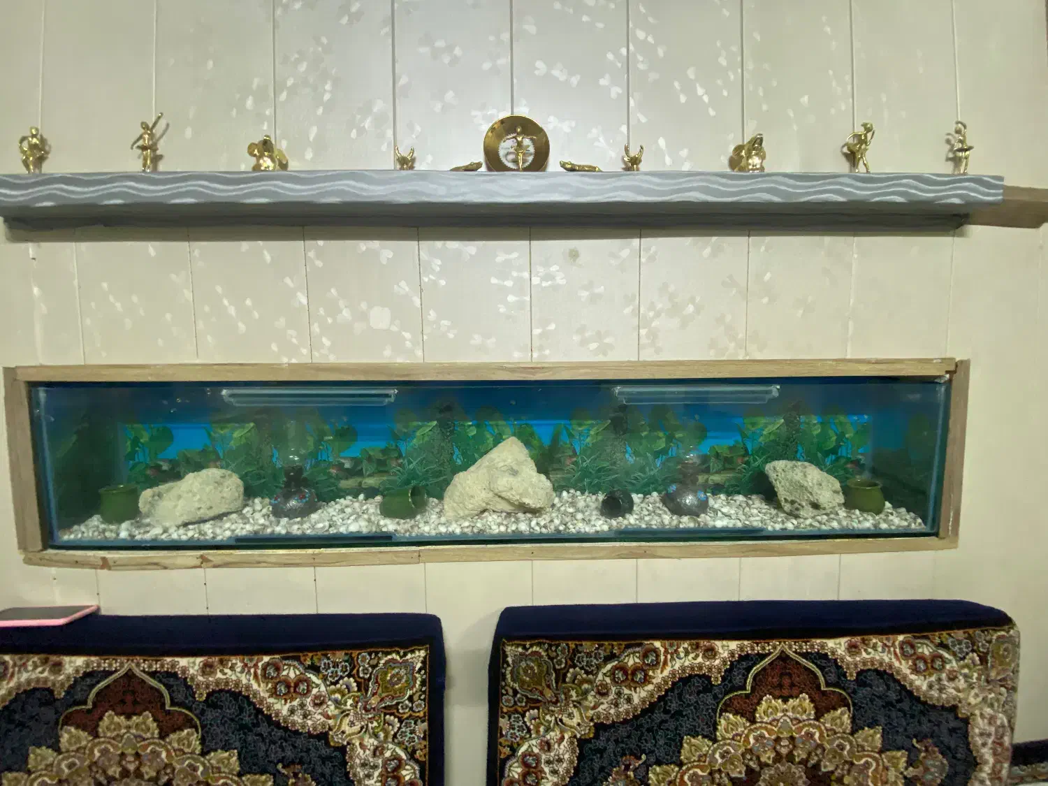 آکواریوم|ماهی|پاکدشت, شهرک انقلاب|دیوار