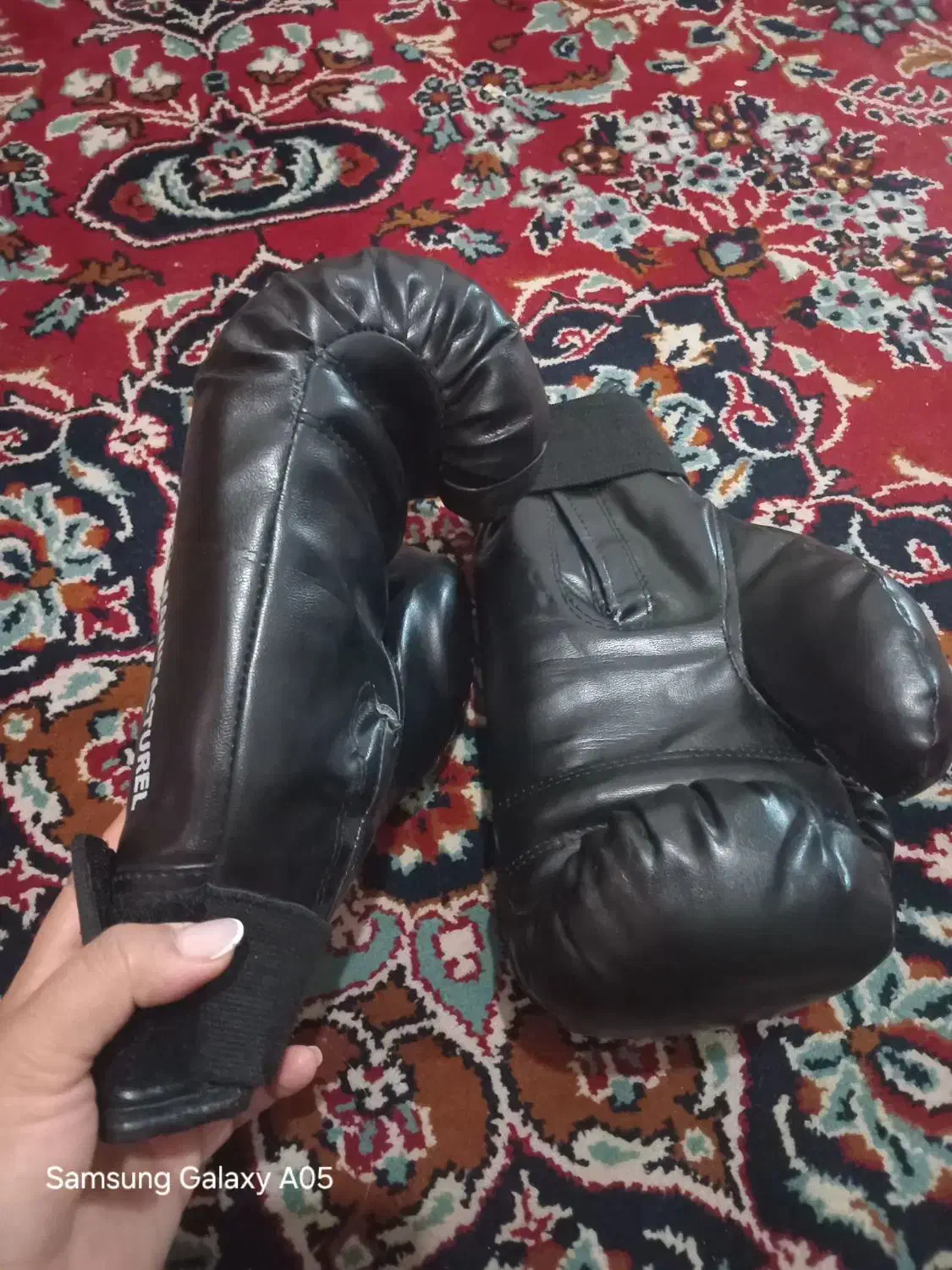 دستکش ورزش|تجهیزات ورزشی|ایلام, |دیوار