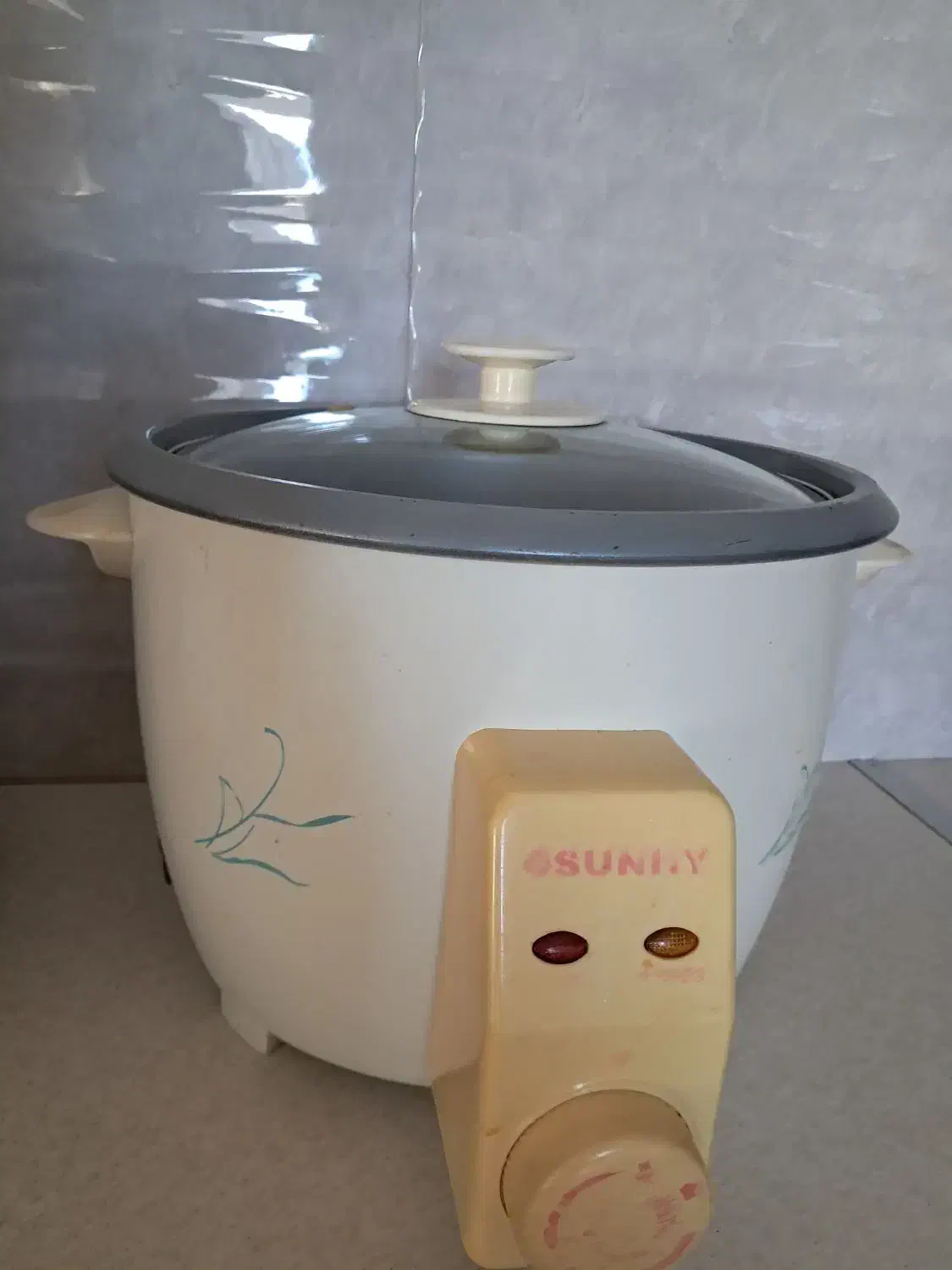 پلوپز پز ۸ نفره|سایر لوازم برقی|محمدیه-قزوین, |دیوار