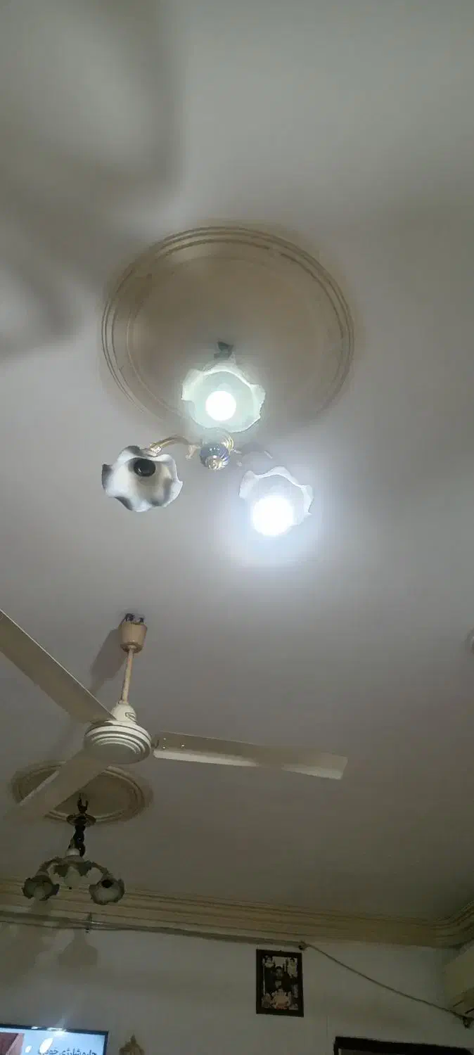 لوستر|لوستر و چراغ آویز|گرگان, |دیوار