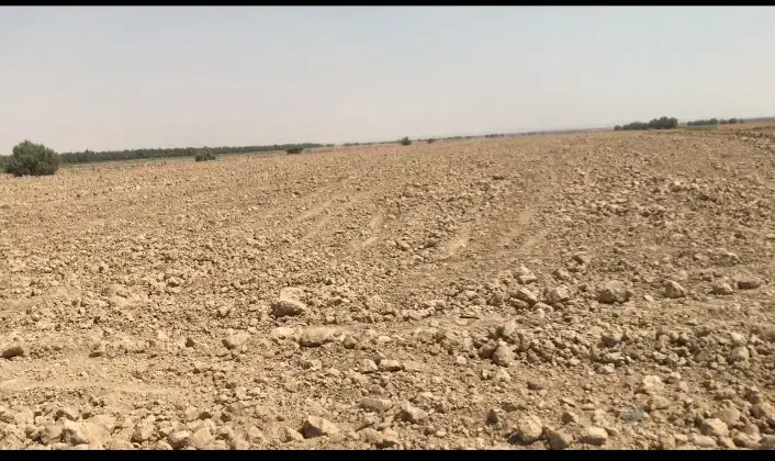 فروش زمین کشاورزی|فروش دفتر صنعتی، کشاورزی، تجاری|اهواز, کمپلو جنوبی|دیوار