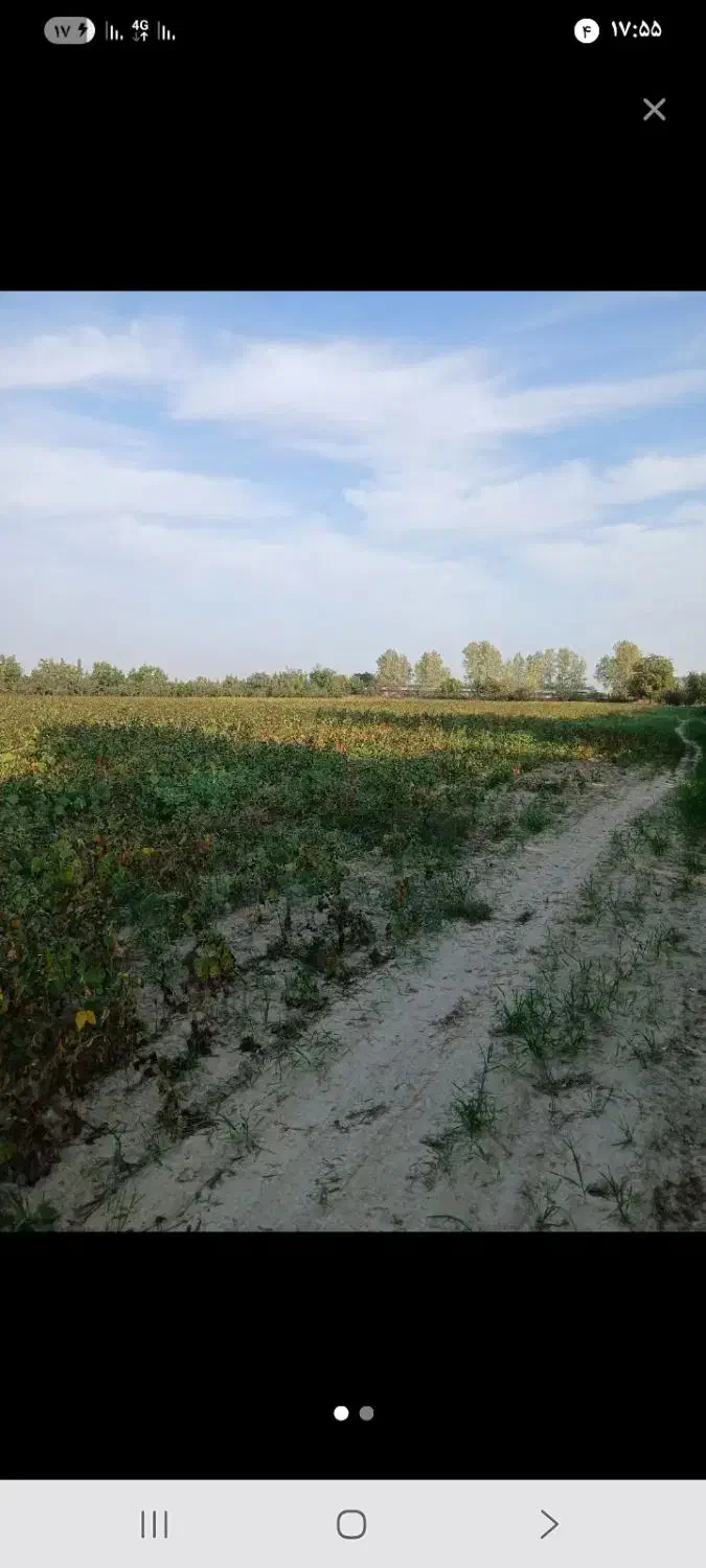 زمین اجاره ی ۱هکتار ۵نی|اجارهٔ دفتر صنعتی، کشاورزی، تجاری|سرخنکلاته, |دیوار