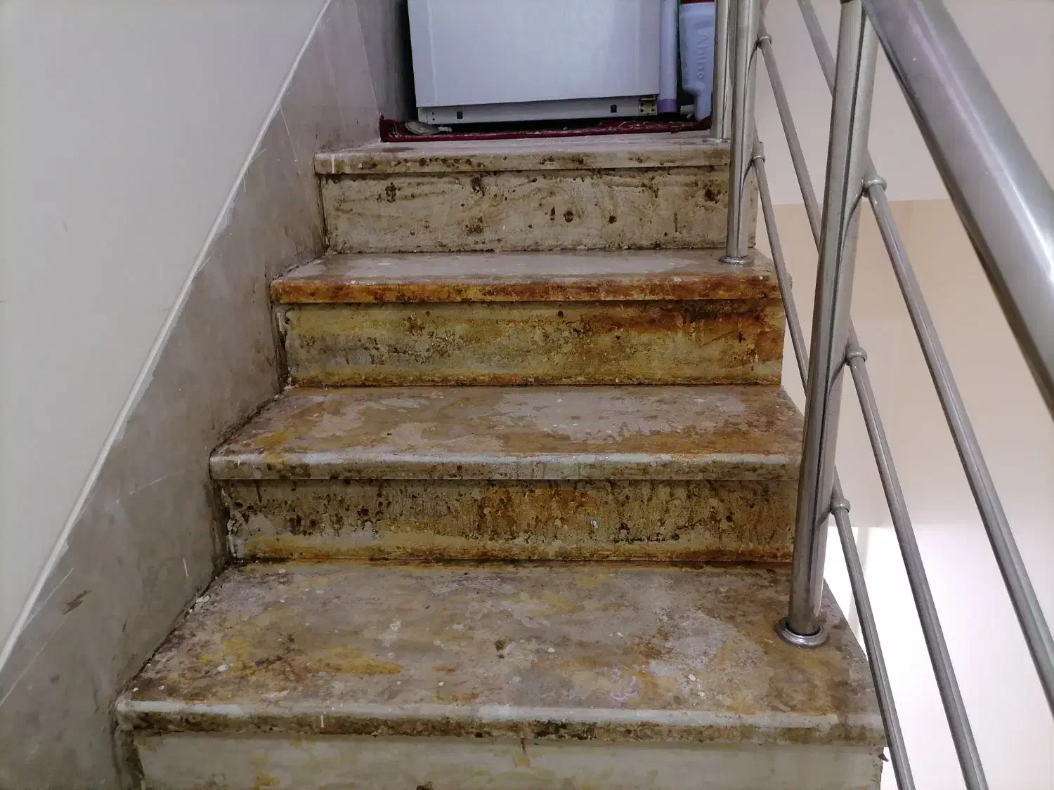 کفسابی ساختمان کف سابی سنگ موزاییک|خدمات نظافت|اراک, |دیوار