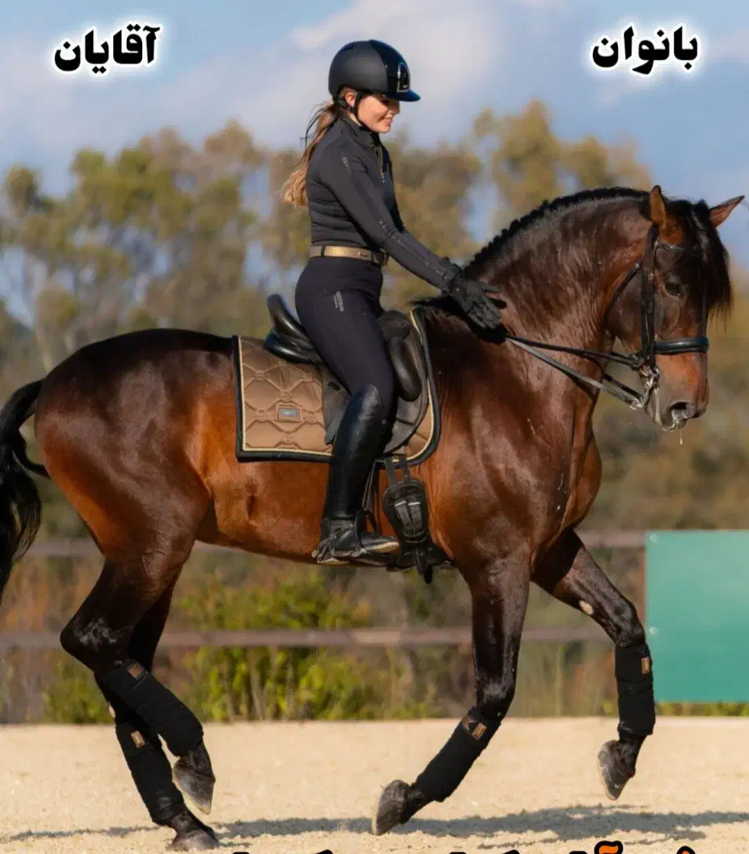 آموزش سوارکاری|خدمات آموزشی|خرم‌آباد, |دیوار