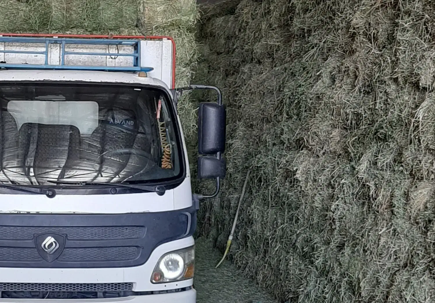 یونجه انباری چین ۲|خدمات باغبانی و درختکاری|زنجان, |دیوار