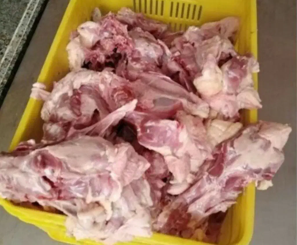 فروش اسکلت ، قلم و ... مرغ|عمدهفروشی|نظرآباد, شهرک صنعتی سپهر|دیوار