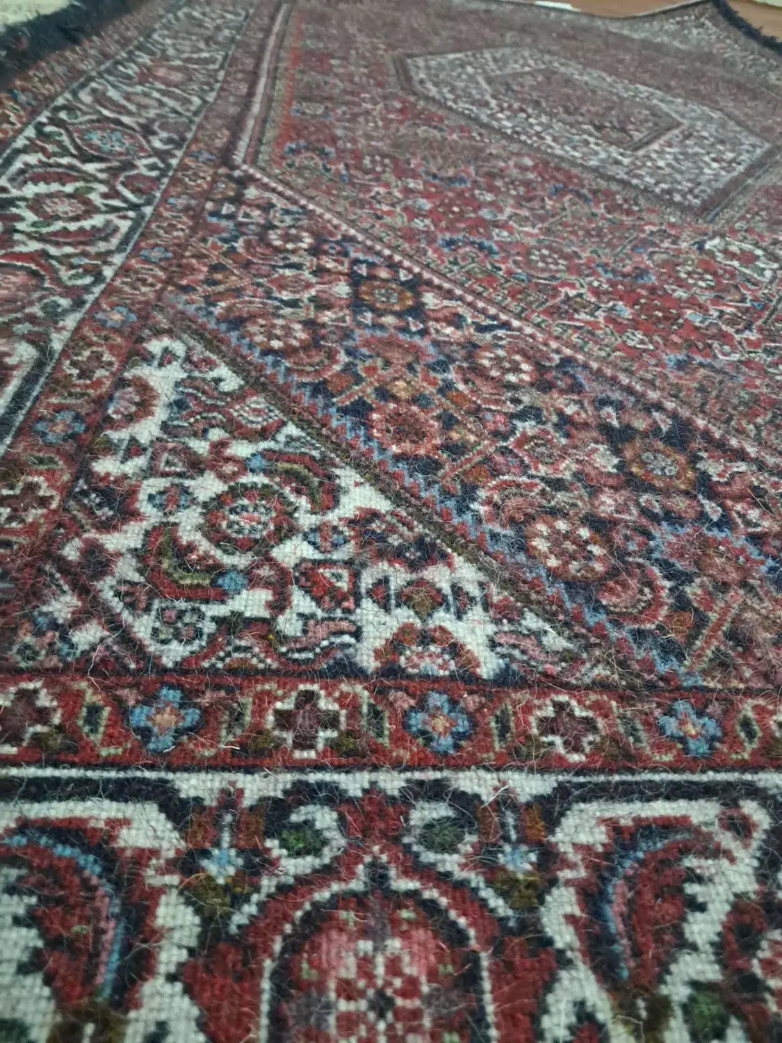 فرش دستبافت|فرش|زنجان, |دیوار