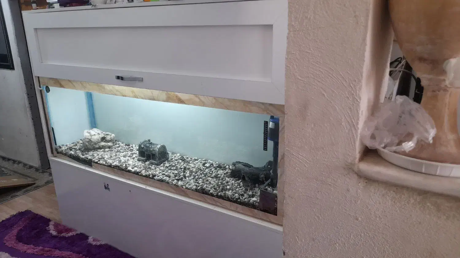 آکواریوم فروشی  ماهی|ماهی|رفسنجان, |دیوار