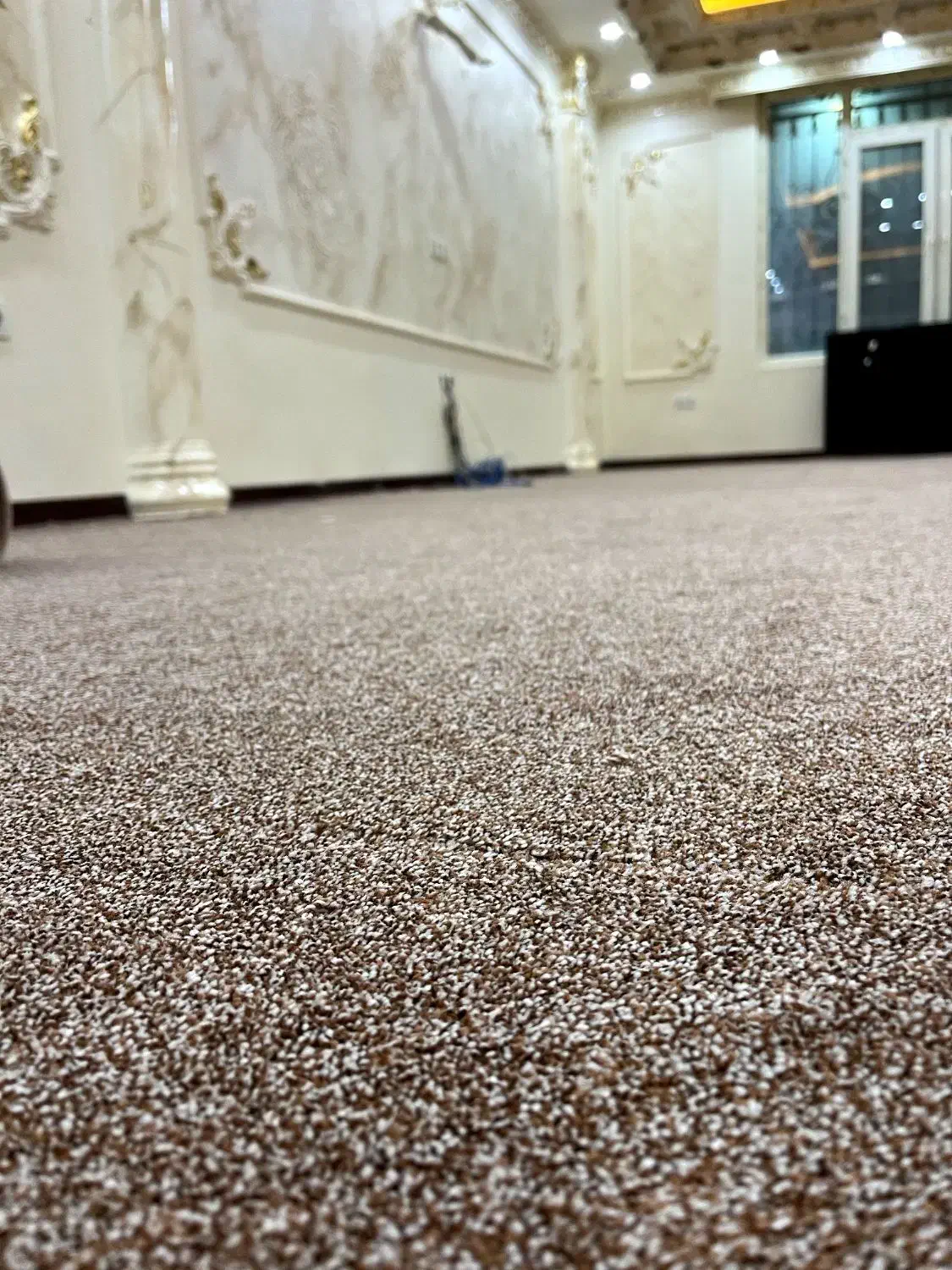 موکت پالا،ز سیدنی|موکت|اهواز, دغاغله|دیوار