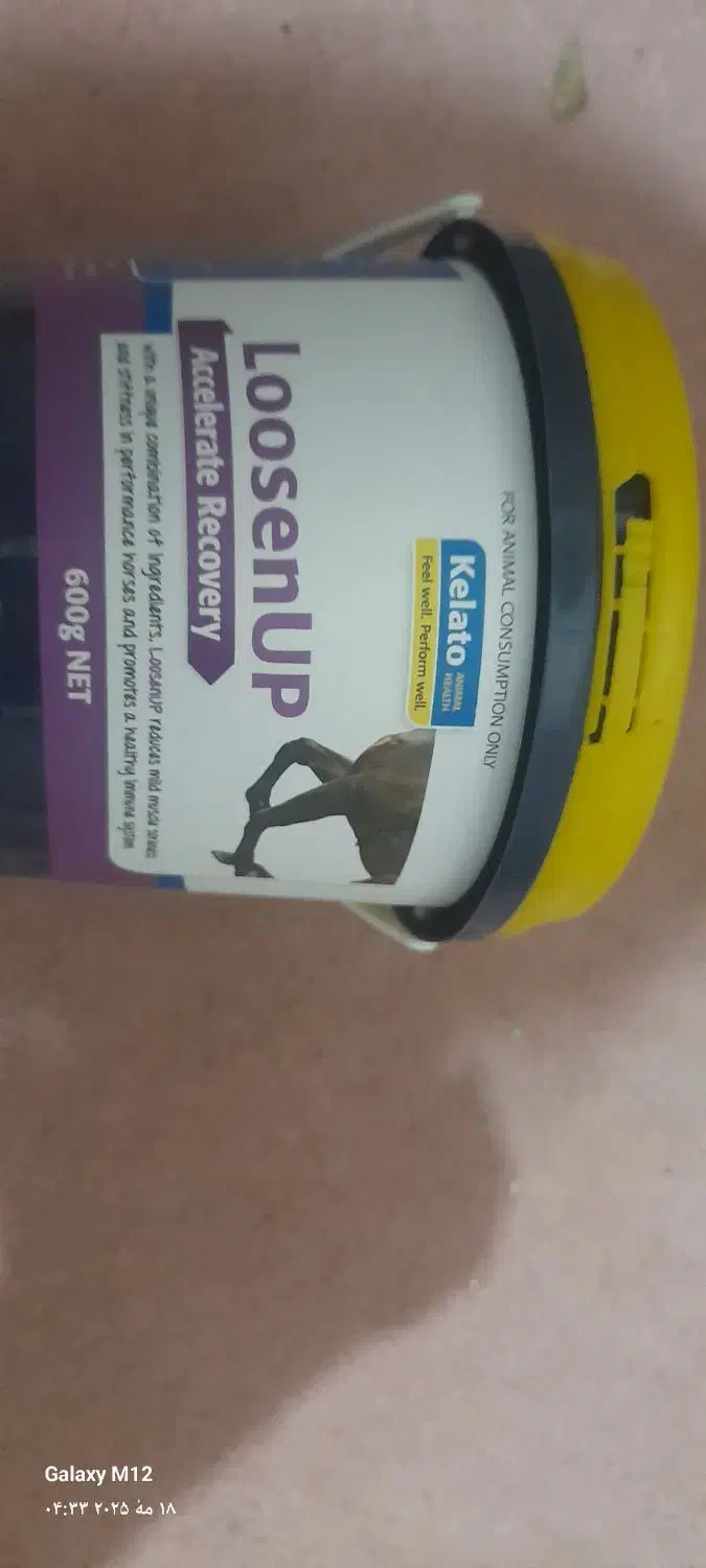 لوسیون عضله اسب بندرلنگه|اسب و تجهیزات اسب‌سواری|بندرلنگه, |دیوار