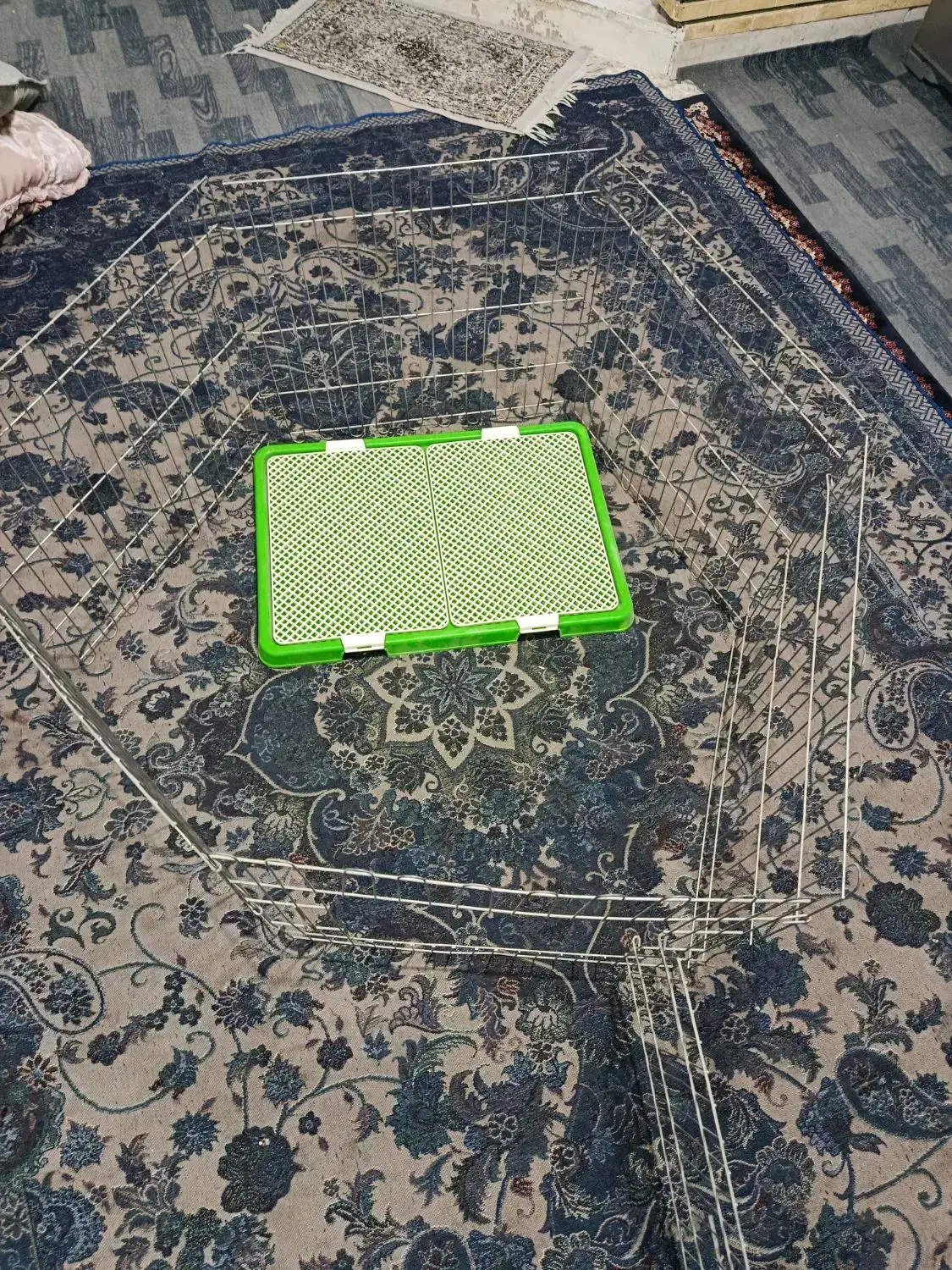 قفس سگ|لوازم جانبی حیوانات|تهران, مشیریه|دیوار