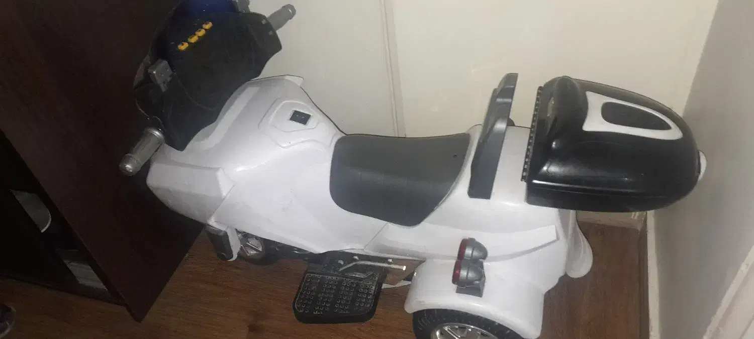 سهره|پرنده|تهران, استقلال|دیوار