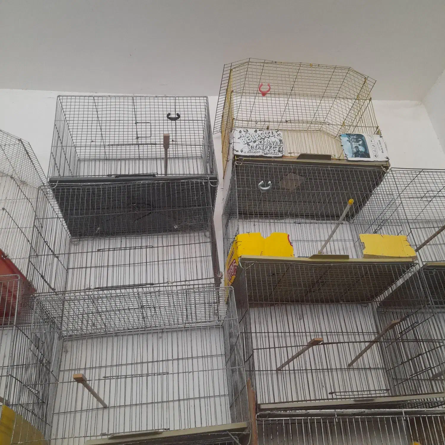 قفس  بزرگ وکوچک  در حد نوع|لوازم جانبی حیوانات|لنگرود, |دیوار