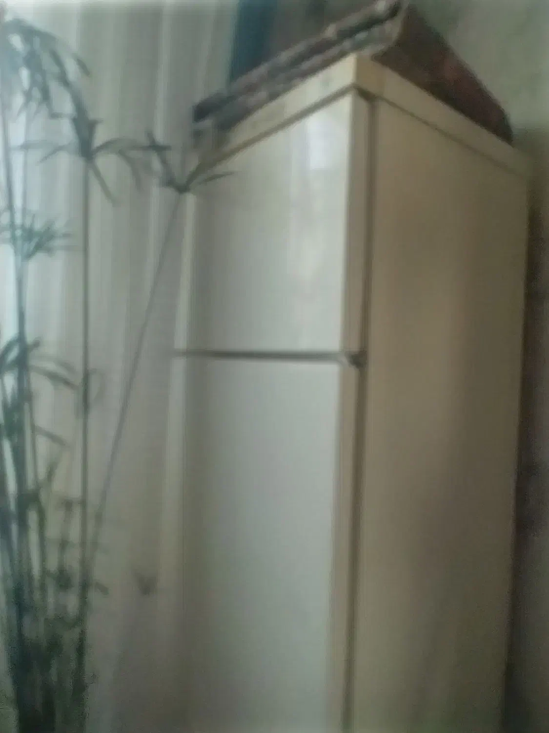 یخچال فریزر فیلور|یخچال و فریزر|گلبهار, شهر جدید گلبهار|دیوار