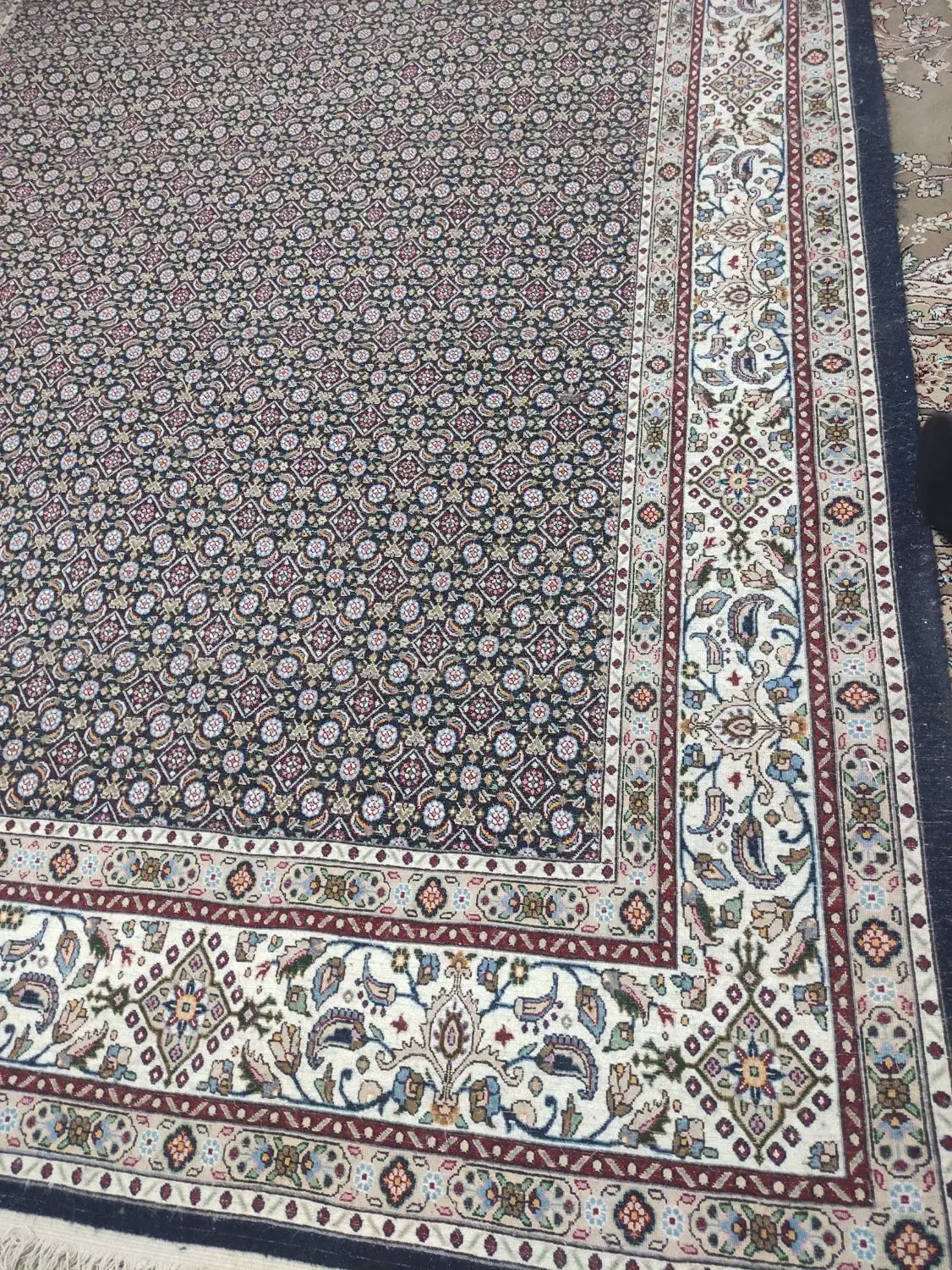 فرش دستباف خیلی خوشکل|فرش|بیرجند, |دیوار