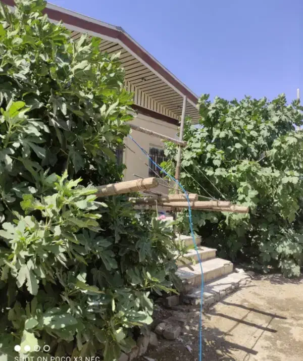 خونه ویلایی مخصوص تفریح لوکس|فروش خانه و ویلا|شیروان (لرستان), |دیوار