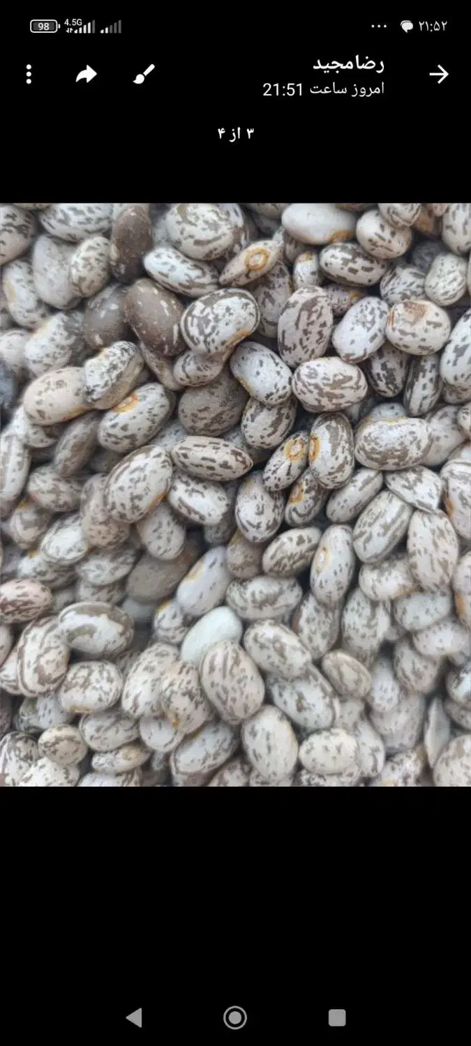 لوبیا چیتی درجه یک زود پز تمیز|خوردنی و آشامیدنی|فاضل آباد, |دیوار