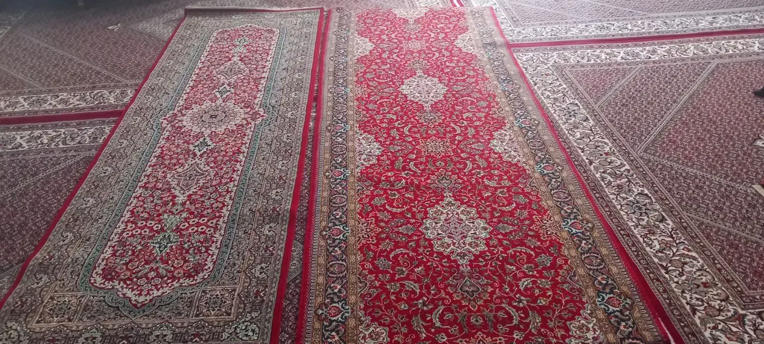 فرش کناره سلیمانی|فرش|زنجان, |دیوار