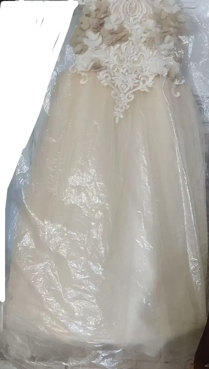 لباس مجلسی|لباس|کرمان, |دیوار